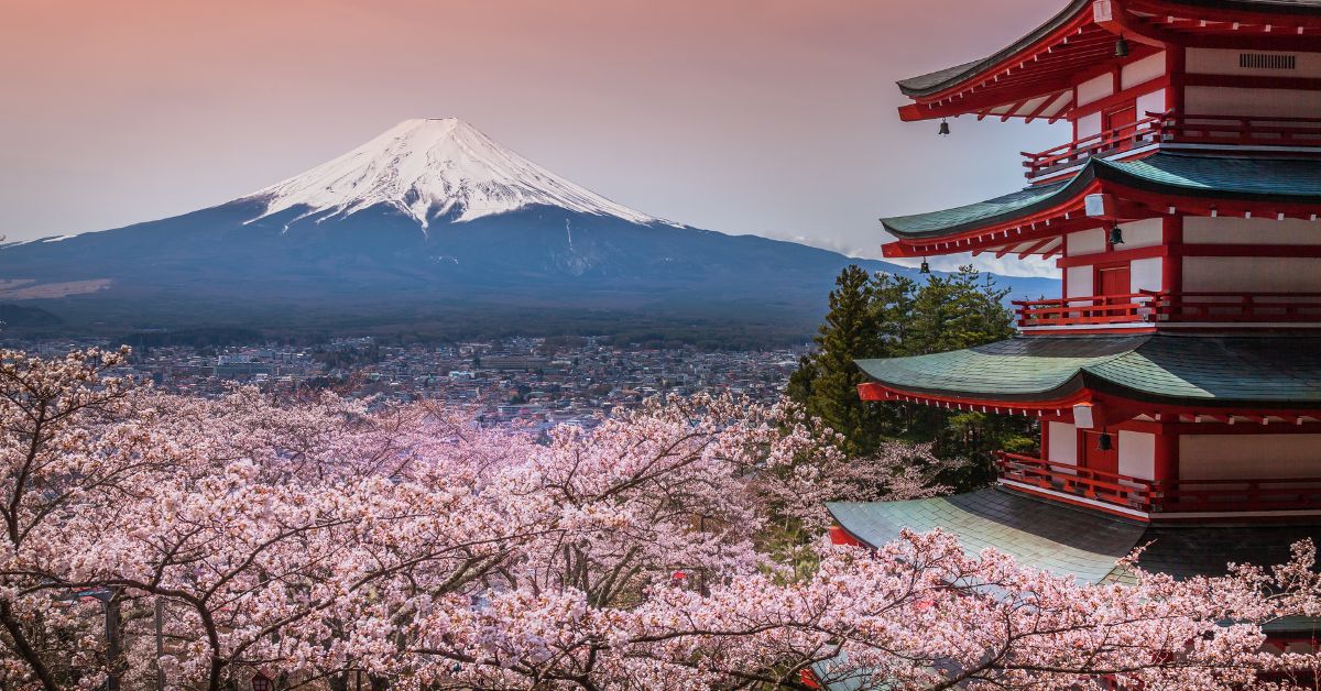 Sakura Season Japan The Best Places to Visit in Japan with Stunning